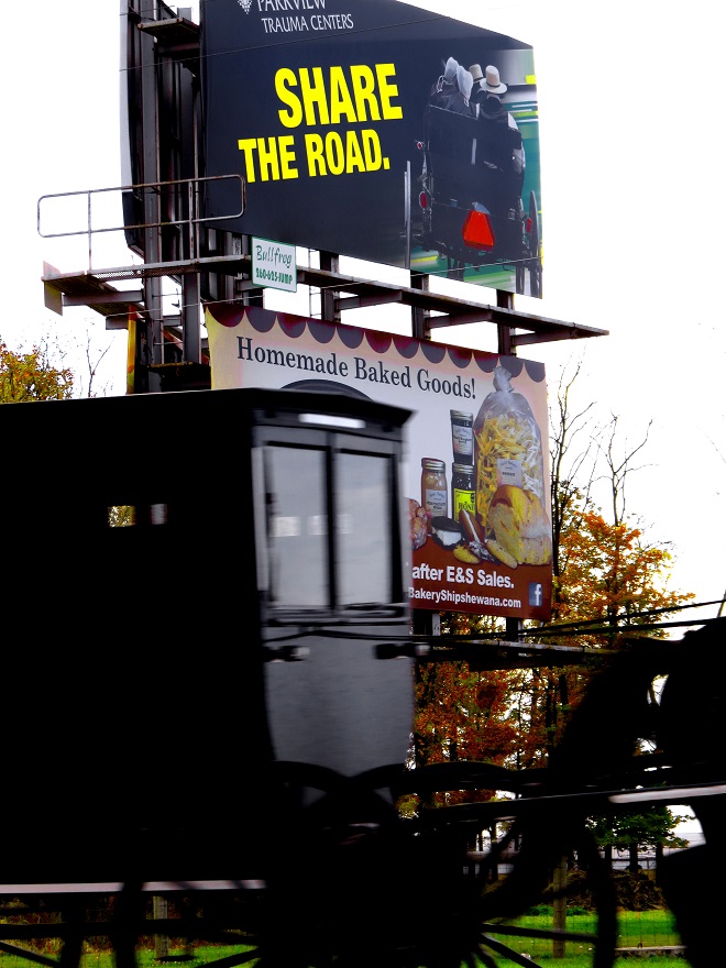 wp e share the road w buggy IMG_5409