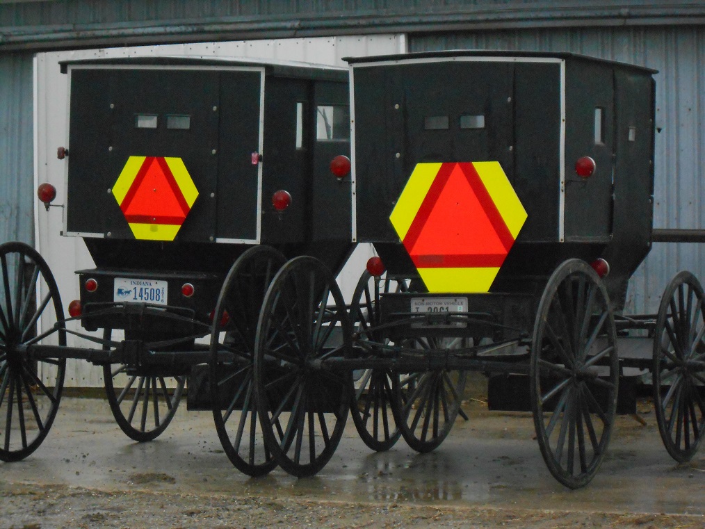 DSCN5950 big and little TCT fb