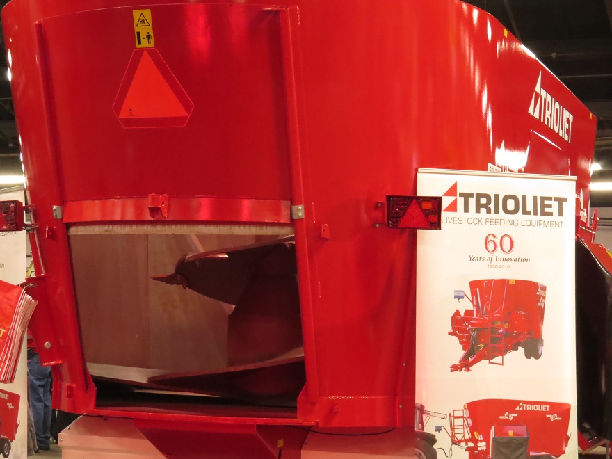 IMG_9208 lack of contrast 22